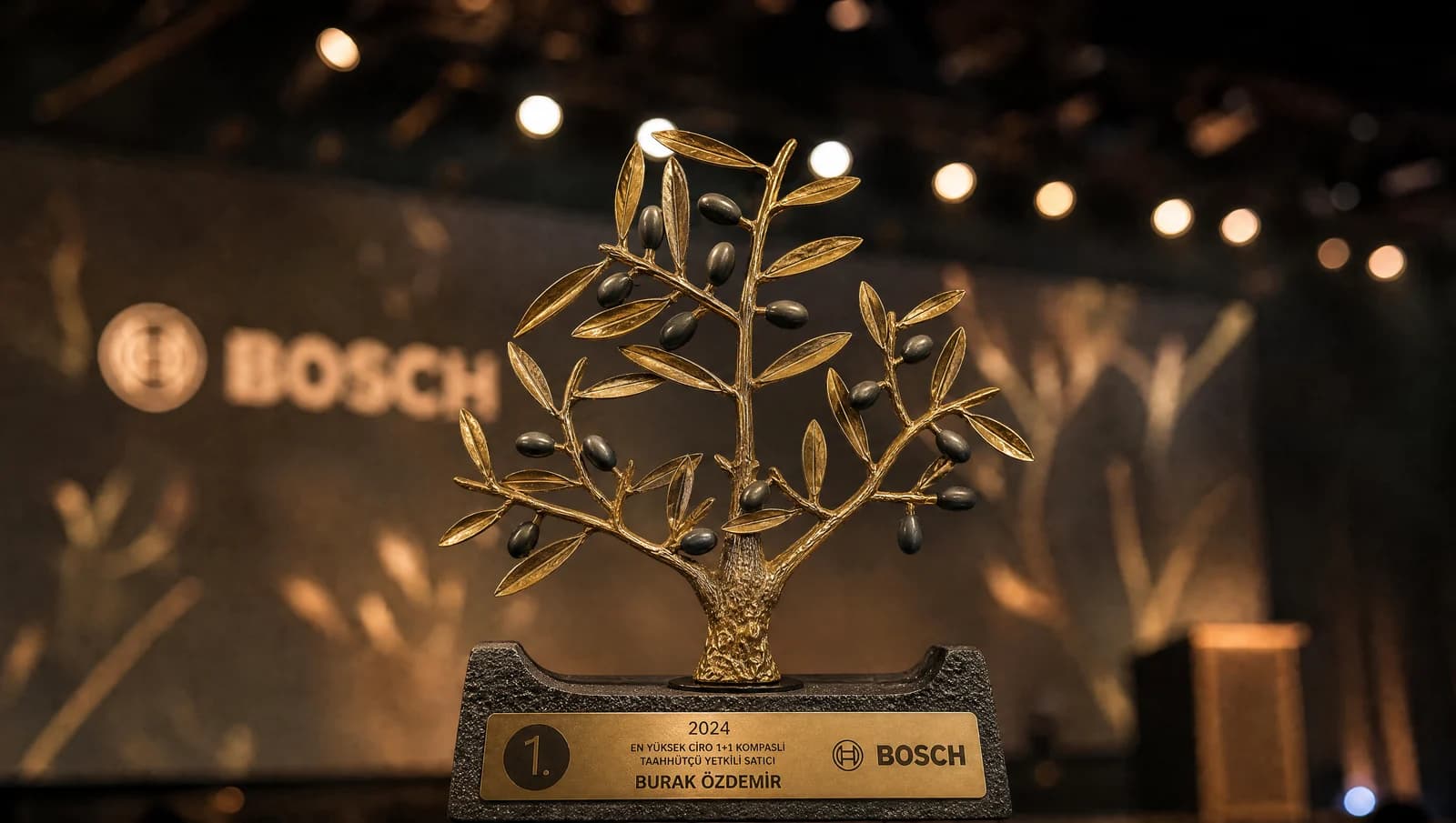 Bosch 2024 birincilik ödülü
